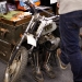 110212_Inspiration-077