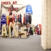 110212_Inspiration-204