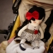 110212_Inspiration-307