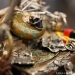 120210_inspiration-168