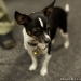 120210_inspiration-195