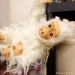 120210_inspiration-343