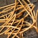 120210_inspiration-454
