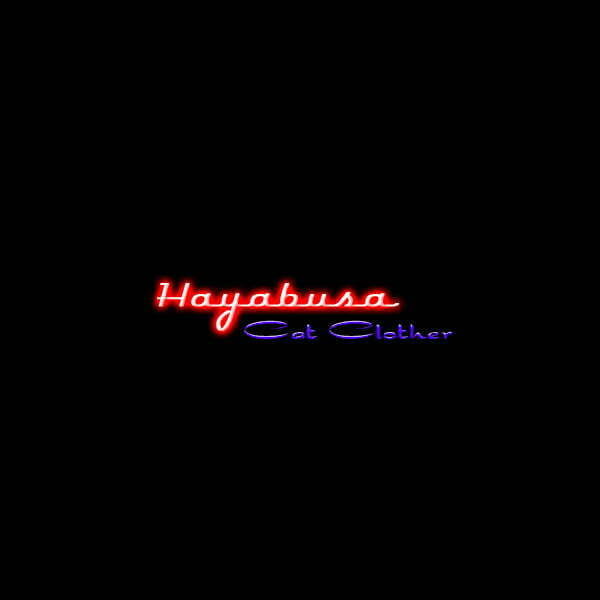 Hayabusa Cat Clother