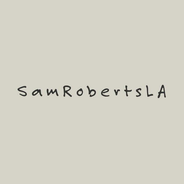 Sam Roberts LA