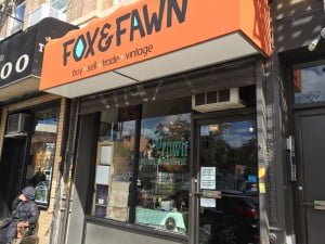 FoxFawn1
