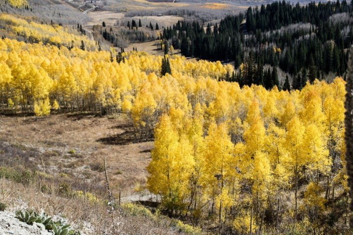 Freenote Utah